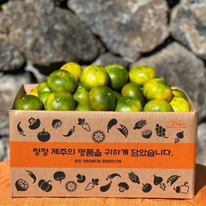 제주 타이벡 감귤 2.5kg(꼬마/2S미만)