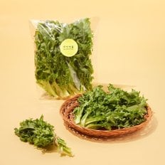 친환경 치커리 120g