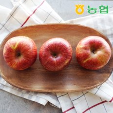 [농협] 아삭달콤 안동 사과 부사 특품 3kg (14과내)