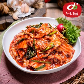 박미희 맛있는 싱싱생생 맛김치 1kg