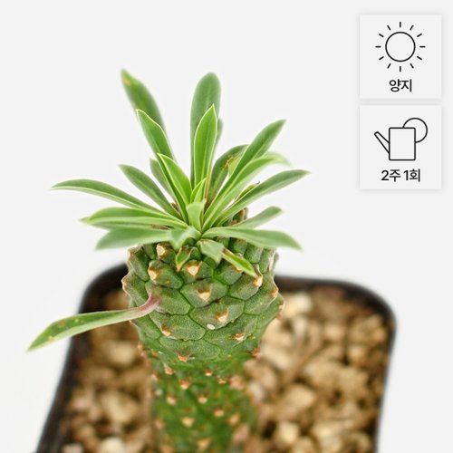 상품이미지3