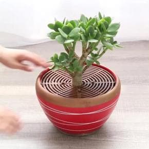 화분 고양이 아기 흙 만짐 날림 방지 커버 덮개 19cm (S30683348)
