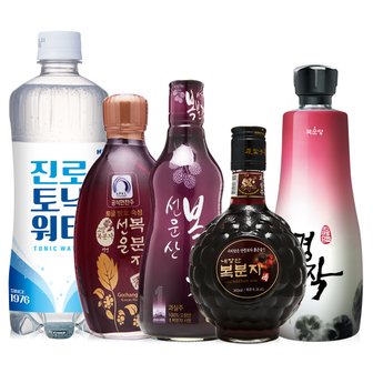  복분자기획세트/명작,내장산,흥진,선운/토닉600증정