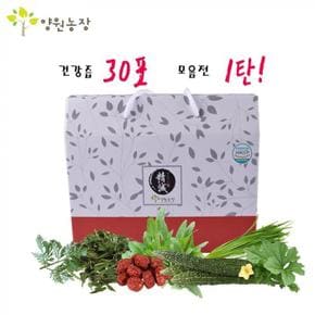 건강즙 모음전 1탄 [30포/1박스]개똥쑥즙 외 (S2394185)