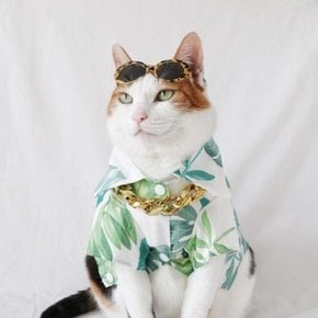 하와이안셔츠 고양이 강아지 여름 옷 안경 목걸이 Miyopet