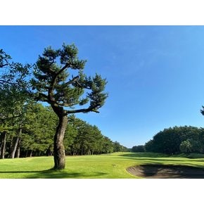 [미야자키 GOLF] 시내숙박 메리쥬호텔 다색골프 4일 45홀