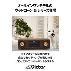 JVC Victor EX-D6 Bluetooth CD FMAM USB 켄우드 미니컴포트 우드콘 시리즈 고해상도 음원