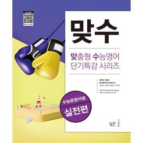 맞수 수능문법어법 실전편 - 맞춤형 수능영어 단기특강 시리즈