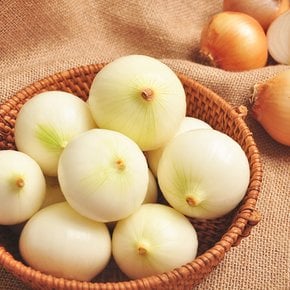 25년산 무안 깐양파 3kg(특 270g이상)