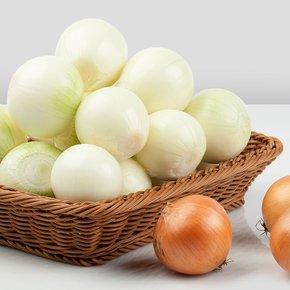 25년산 무안 깐양파 3kg(특 270g이상)
