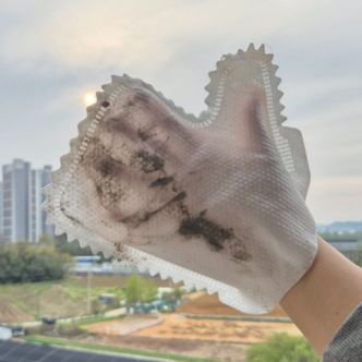 제이큐 부직포 일회용 청소 장갑 실내 집 자동차 먼지 10매 X ( 3세트 )