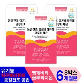 뉴프레이 유기농 동결건조 링곤베리 퓨레 글루타치온 1000mg x 180정 6개월분