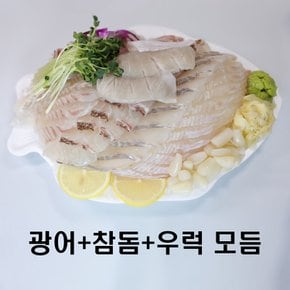 [광어+참돔+우럭] 스페셜 활어 모듬회 + 6종양념