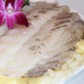 [광어+참돔+우럭] 스페셜 활어 모듬회 + 6종양념