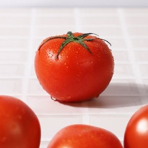 인정푸드 [농협청과33번] 토마토 10kg 5번 (쥬스용)