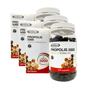 프로폴리스 원액 플라보노이드 호주산 리퀴드 5000mg 250정 호주 마더네스트 3개