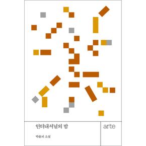 인터내셔널의 밤 (아르테 한국 소설선 작은책)