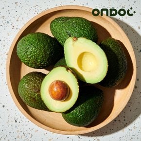 페루산 아보카도 (2-4과) 실속 600g내외