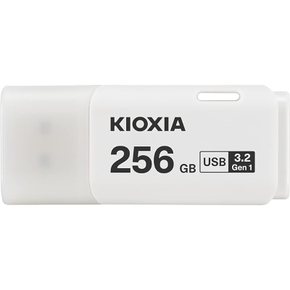 KIOXIA TransMemory U301 USB 플래시 드라이브 256GB