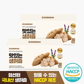 참앤들황토농원 맛있는 지리산 生 칡즙 100ml x 30포 2박스