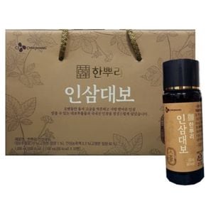 CJ 한뿌리 인삼대보 100mlx10병x4set