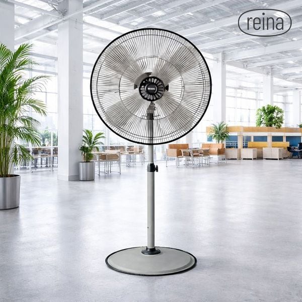 확대된 대표 상품 이미지 1
