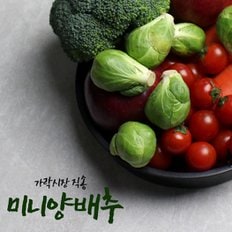 팸쿡 가락시장 직송 미니양배추 500g
