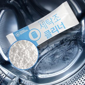 프리미엄 세탁조 클리너 100g 3개입 일반/드럼겸용
