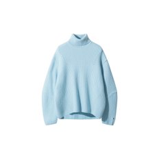 Chunky Snow Turtleneck (Sky Blue)_D5WAW24204BUL