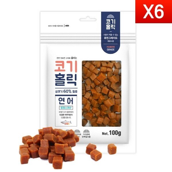 [코기홀릭] 연어100g x6개