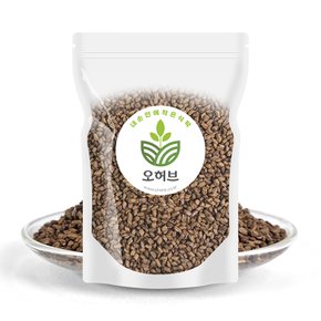 인도산 원적외선 볶은 결명자 결명자차 결명차 1kg