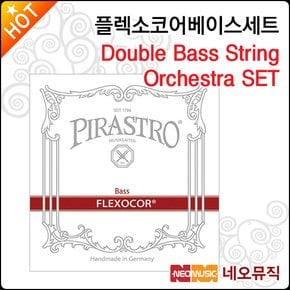 플렉소코어 현세트 Flexocor String Orchestra SET