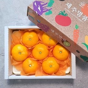 [팜쿡] [선물] 제주 황금향 1.5kg(소과) 10-12 내외