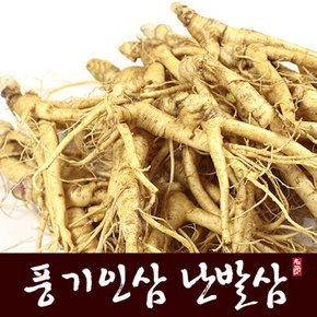 [풍기인삼] 5년근 난발삼 500g (11-12뿌리)