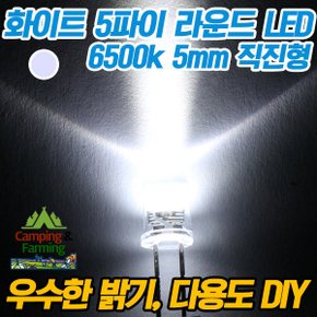 5파이 라운드 직진형 LED (화이트/DIY용/다용도/교재)