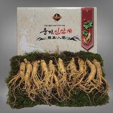 5년근 수삼 1채 750g (8-10뿌리)