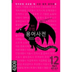 용 영어문법 용어사전 300   영어문법 궁금할 때 쉬운 말로 알려줘용