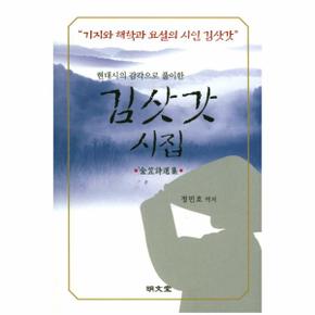 김삿갓 시집(현대시의 감각으로 풀이한)