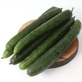 취청 오이 2kg