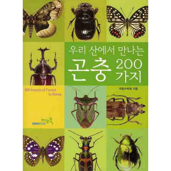 곤충 200가지