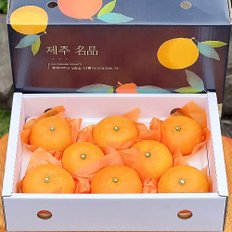 [SSG상품권증정이벤트][1/7 순차출고][유명산지] 제주직송 천혜향 선물세트 1.5kg (중과/7-9과)