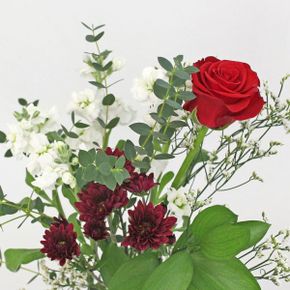마이플랜트 생화 랜덤 어레인지먼트 계절 화병 꽃 경매 꽃배달 정기구독 구매율 높은 꽃선물 인기상품