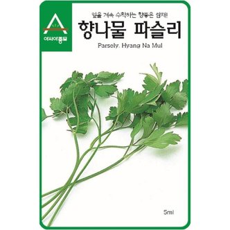 아시아종묘 (아시아종묘/쌈채씨앗종자) 잎파슬리-향나물(2g)