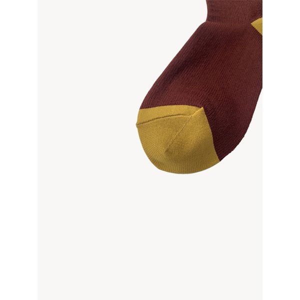 color point socks (wine)