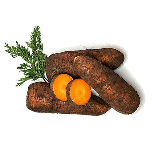 추가5이미지