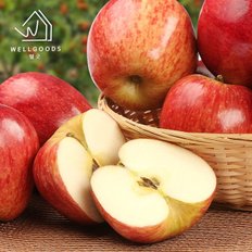  [웰굿] 경북직송 가정용 부사 사과 2.5kg(14-15과,소과)