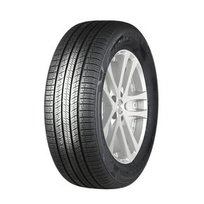 타이어 로디안 GTX 245/45R19 (택배발송/장착비별도)