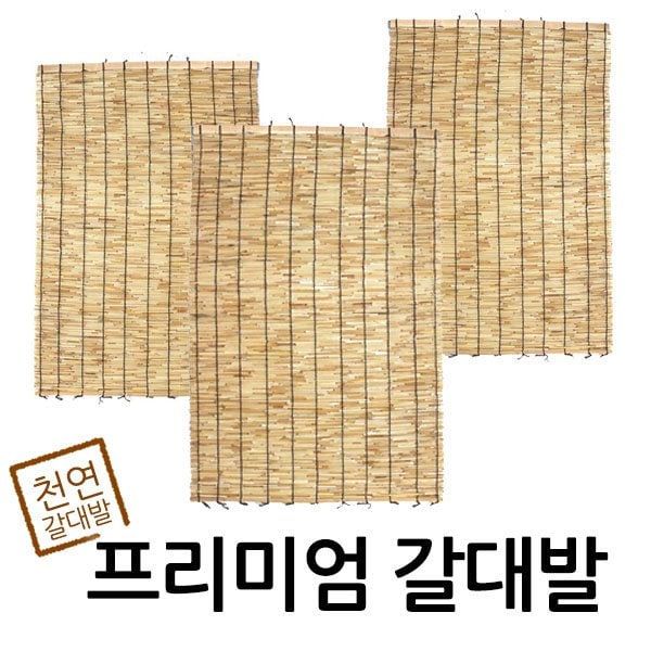 확대된 대표 상품이미지1