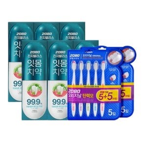 진지발리스 허벌민트 120G 3입 x2 + 칫솔 탄력모 10입