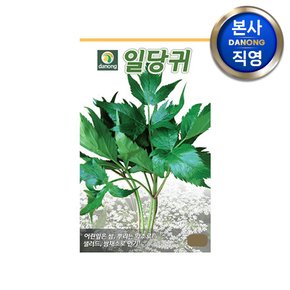 일당귀 씨앗 300g . 잎당귀 채소 야채 텃밭 파종 재배 주말 농장 씨 종자